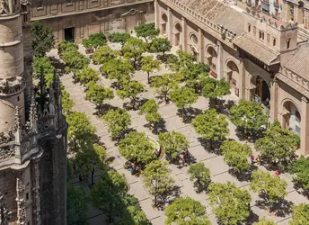 The orange tree courtyard of the cathedral