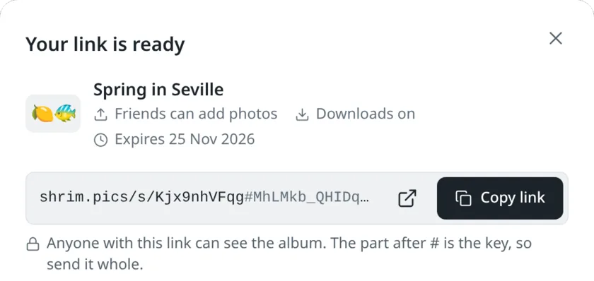 The agent's “Your link is ready” window, with the share link and a Copy link button.